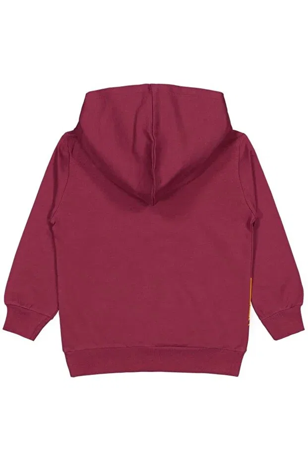 Детское худи с принтом для мальчиков Cool star printed Civil Boys, Burgundy — фото 3