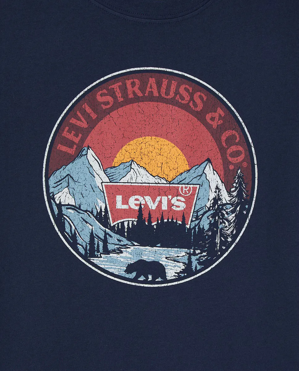 

Футболка для мальчиков Sunrise Over the Ridge Levi's, синий