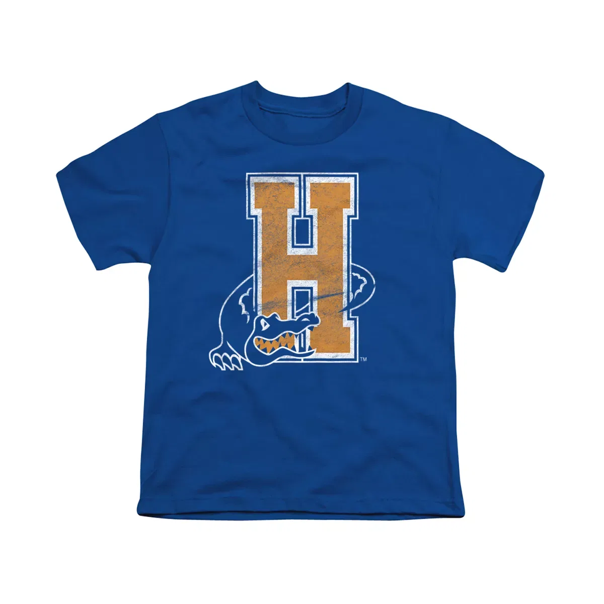 Детская футболка с принтом Hostos Community College Distressed Primary Logo NCAA, Royal Blue