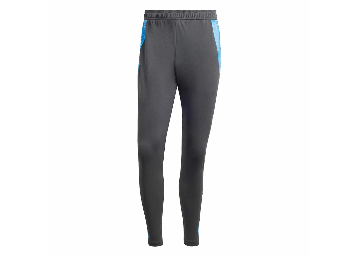 Мужские тренировочные брюки Adidas Argentina Tiro 24 Competition, Carbon