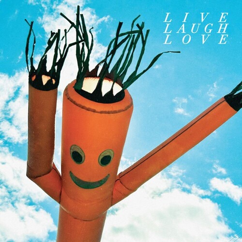

Виниловая пластинка LP Live Laugh Love [Cloudy Color Vinyl] - Chastity Belt