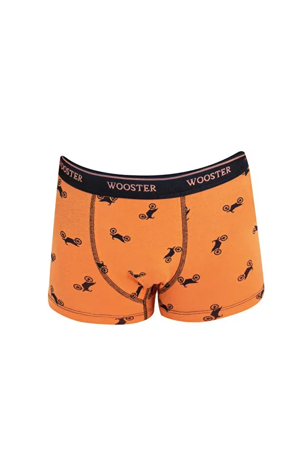 Детские боксеры для мальчиков с принтом Wooster, Orange — фото 4