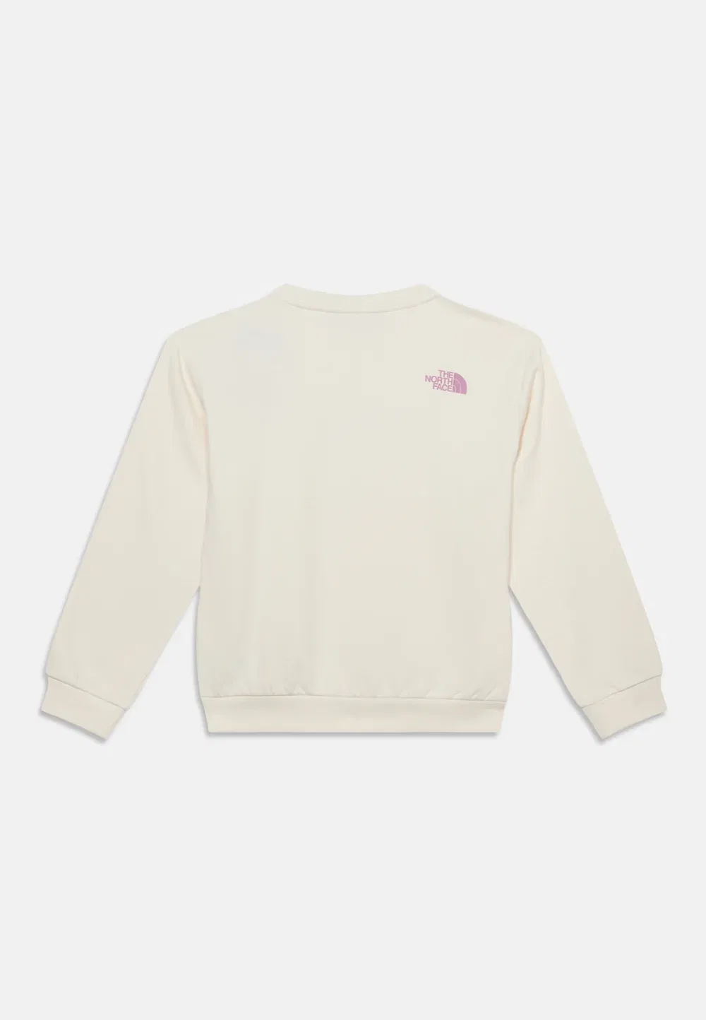 Трусы-Свитшоты Teen Chalbi Relaxed Crew с графическим принтом, унисекс The North Face, White Dune — фото 2