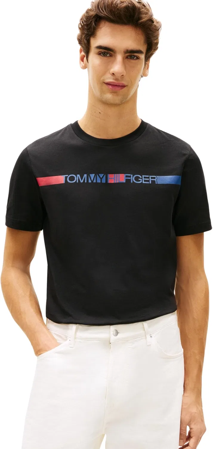 Мужская футболка с коротким рукавом Brand Love Stripe Tee Tommy Hilfiger, Black