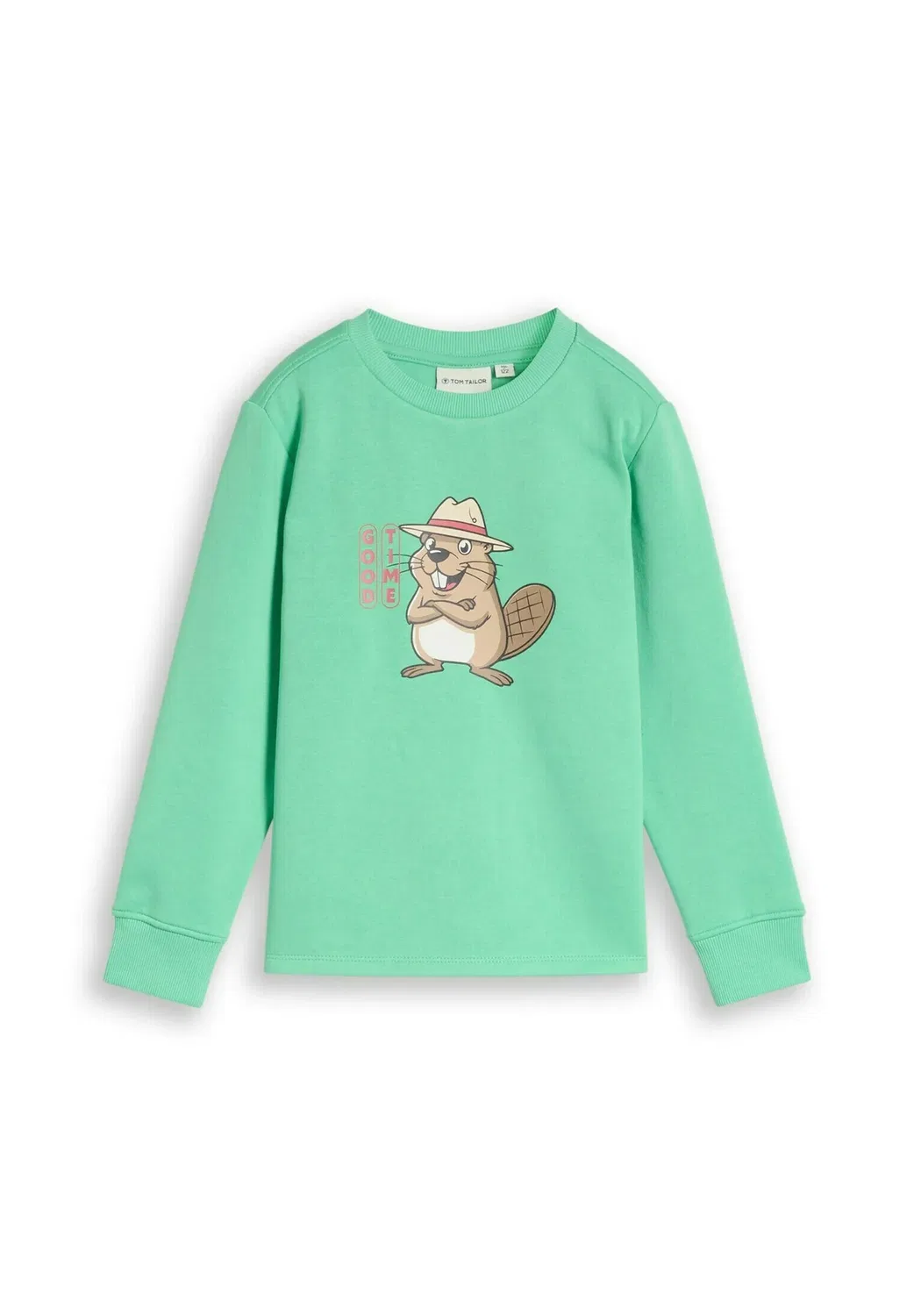 Толстовка Strick & sweatshirts с принтом - толстовка Tom Tailor, Leafy Green