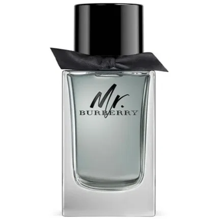 Парфюмерная вода Mr Burberry Burberry, 100 мл
