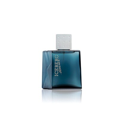 Туалетная вода для мужчин ICEBERG Homme 100мл — фото 2