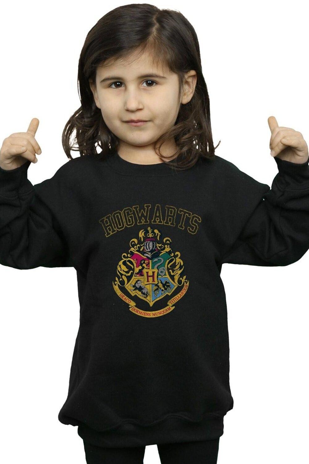 

Толстовка с гербом в университетском стиле Harry Potter, черный