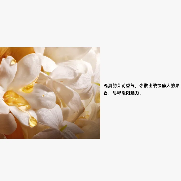 Парфюмерная вода DIOR Collectible Simple Elegance Beauty Perfumes Floral Fruity Accord EDP Jasmine Osmanthus Vanilla, 100 мл — фото 4