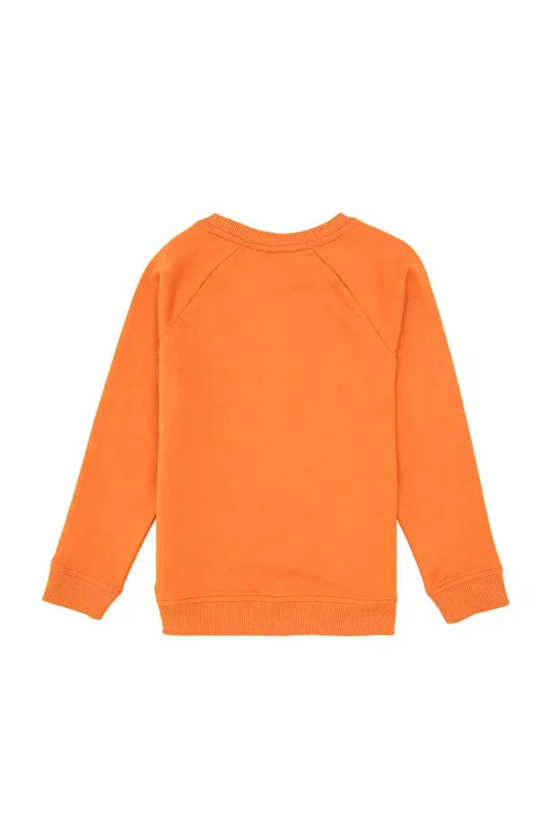 Детские свитшот для мальчиков хлопковый U.S. Polo Assn., Copper — фото 2