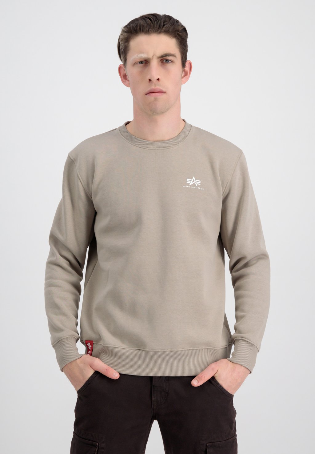 

Толстовка BASIC SMALL LOGO Alpha Industries, песочный