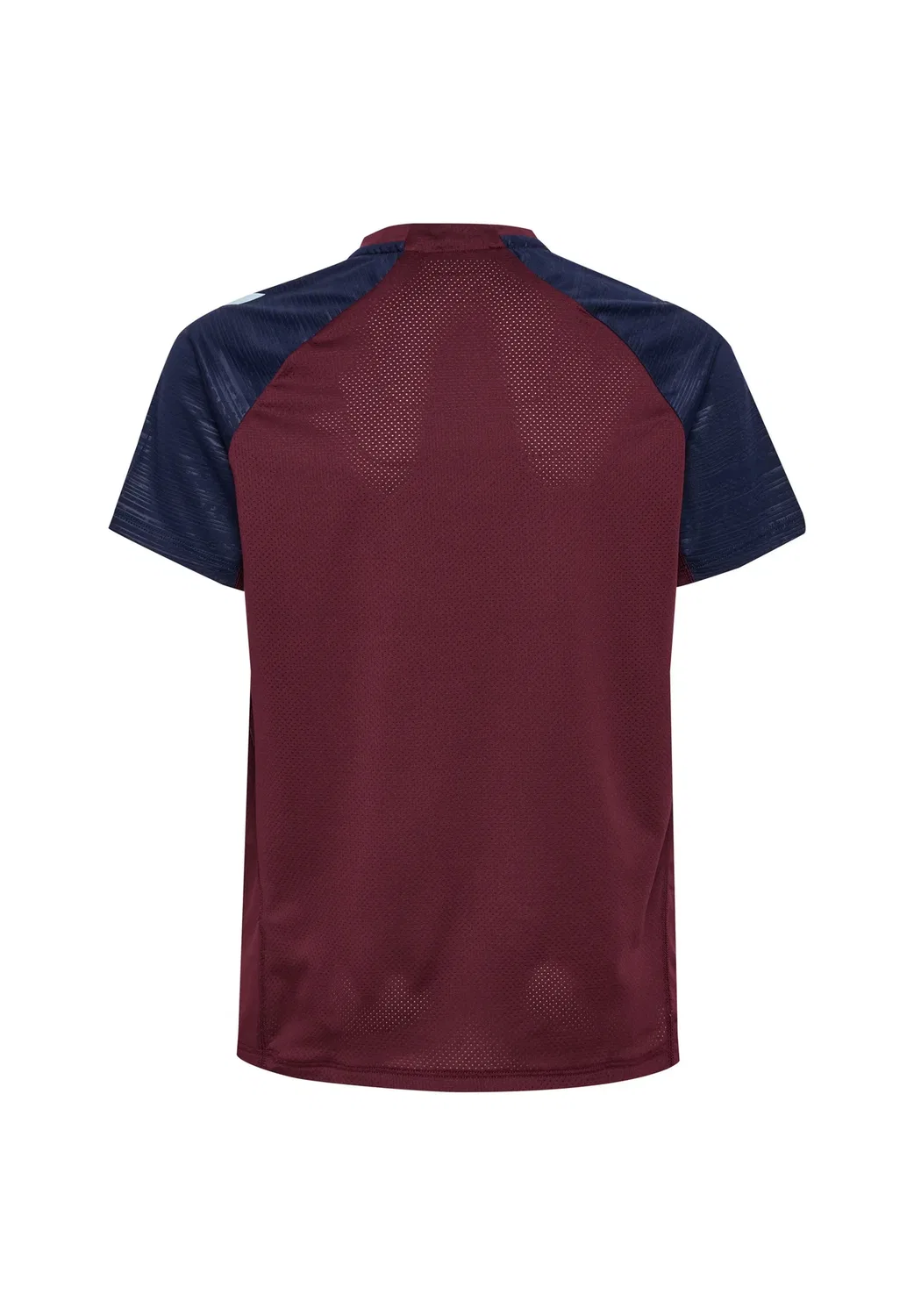 Детская спортивная футболка Dbu 26 pro tr с коротким рукавом, унисекс Hummel, Windsor Wine Peacoat — фото 2