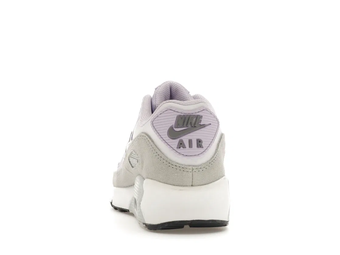 Детские кроссовки Lifestyle Nike Air Max 90, White/Violet Frost/Pure Platinum/Metallic Silver — фото 4