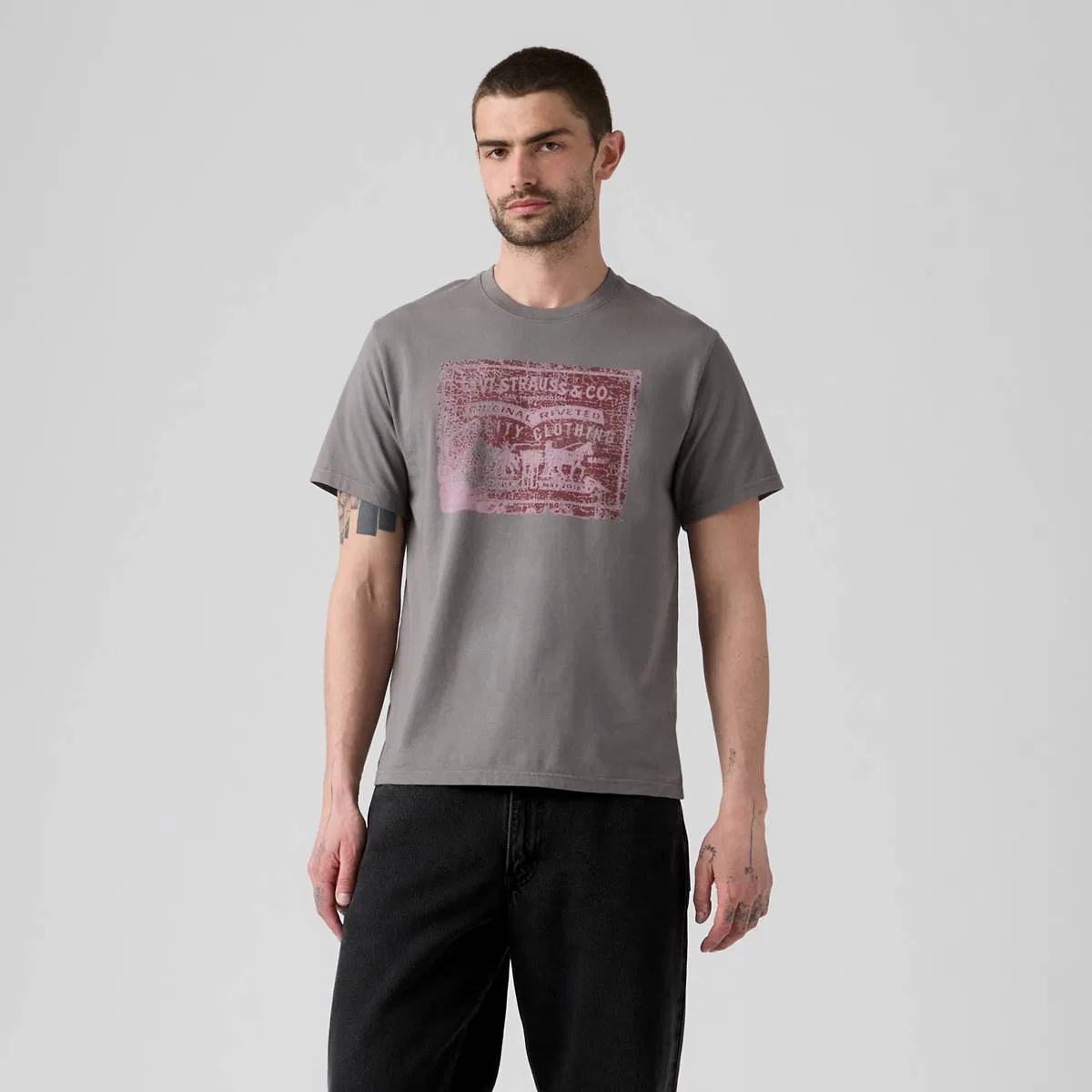 Свободная футболка с графическим принтом Levi's, Two Horse Pull Smoked Pearl - Black — фото 3