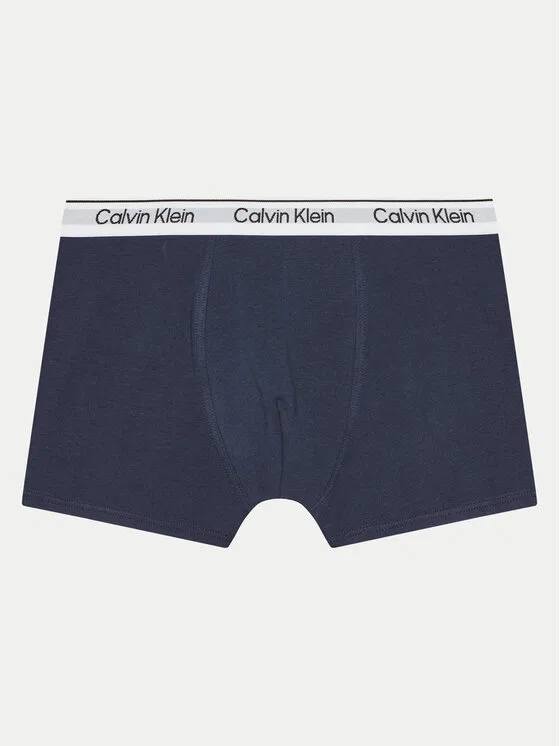Комплект боксеров Calvin Klein Underwear, мультиколор — фото 2