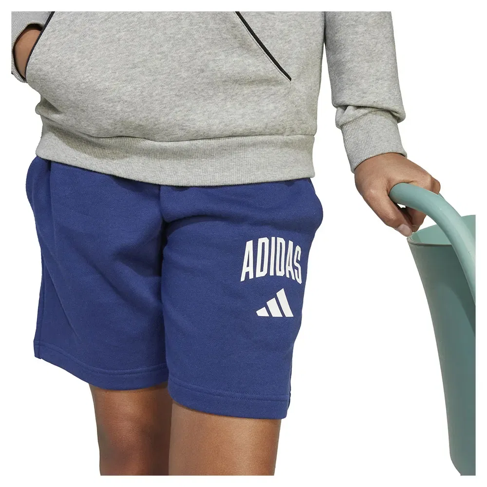 Шорты Adidas Seasonals Essentials Collegiate Typography, синий — фото 4