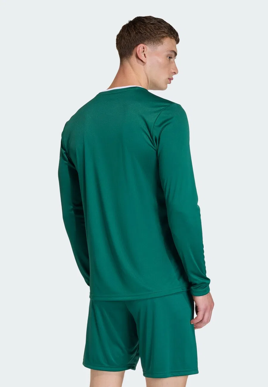Футболка ADIDAS PERFORMANCE Performance Shirt 'Entrada26' изумрудного цвета — фото 4