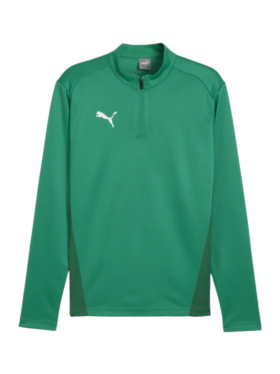 

Футболка Performance PUMA TeamGoal, цвет Green/Dark green