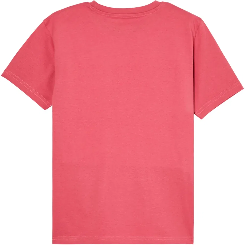 Детская футболка с коротким рукавом Evo Comp Logo Quiksilver, Pink — фото 2