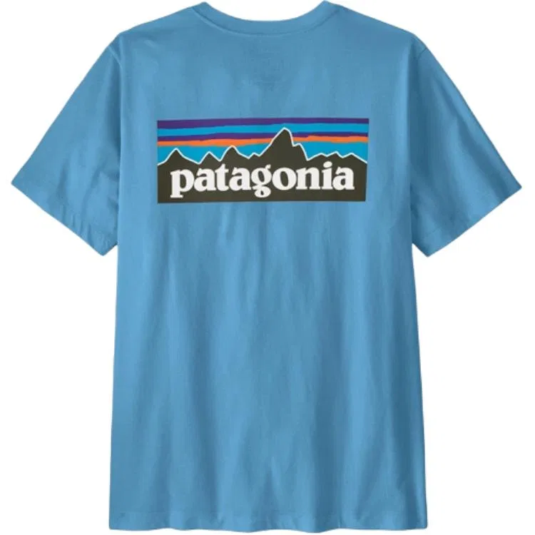 Футболка с принтом P-6 Patagonia, SHRB