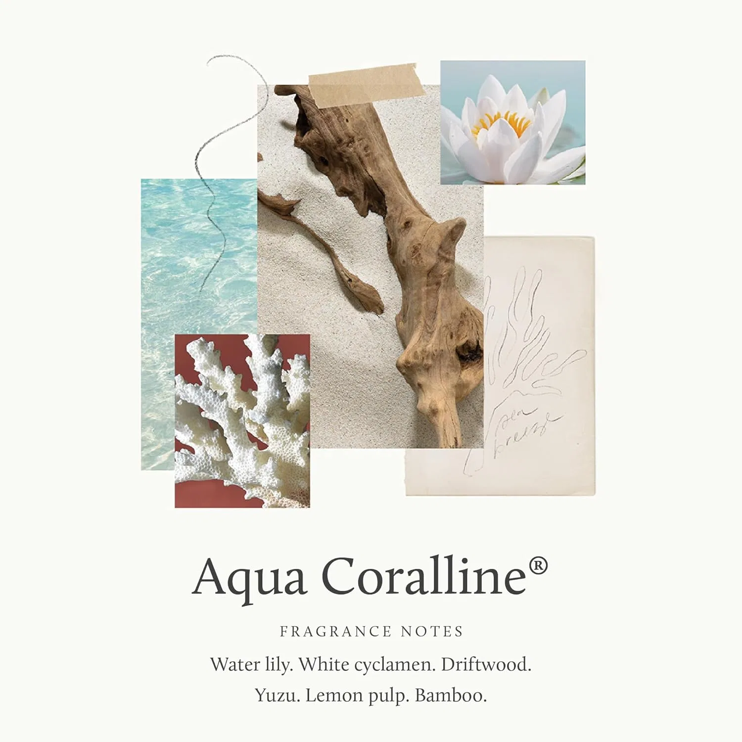 Лосьон для тела Thymes Aqua Coralline, 270 мл — фото 4