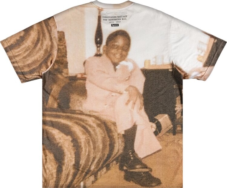 Футболка Supreme Biggie Short-Sleeve Top 'Multicolor', разноцветный — фото 3