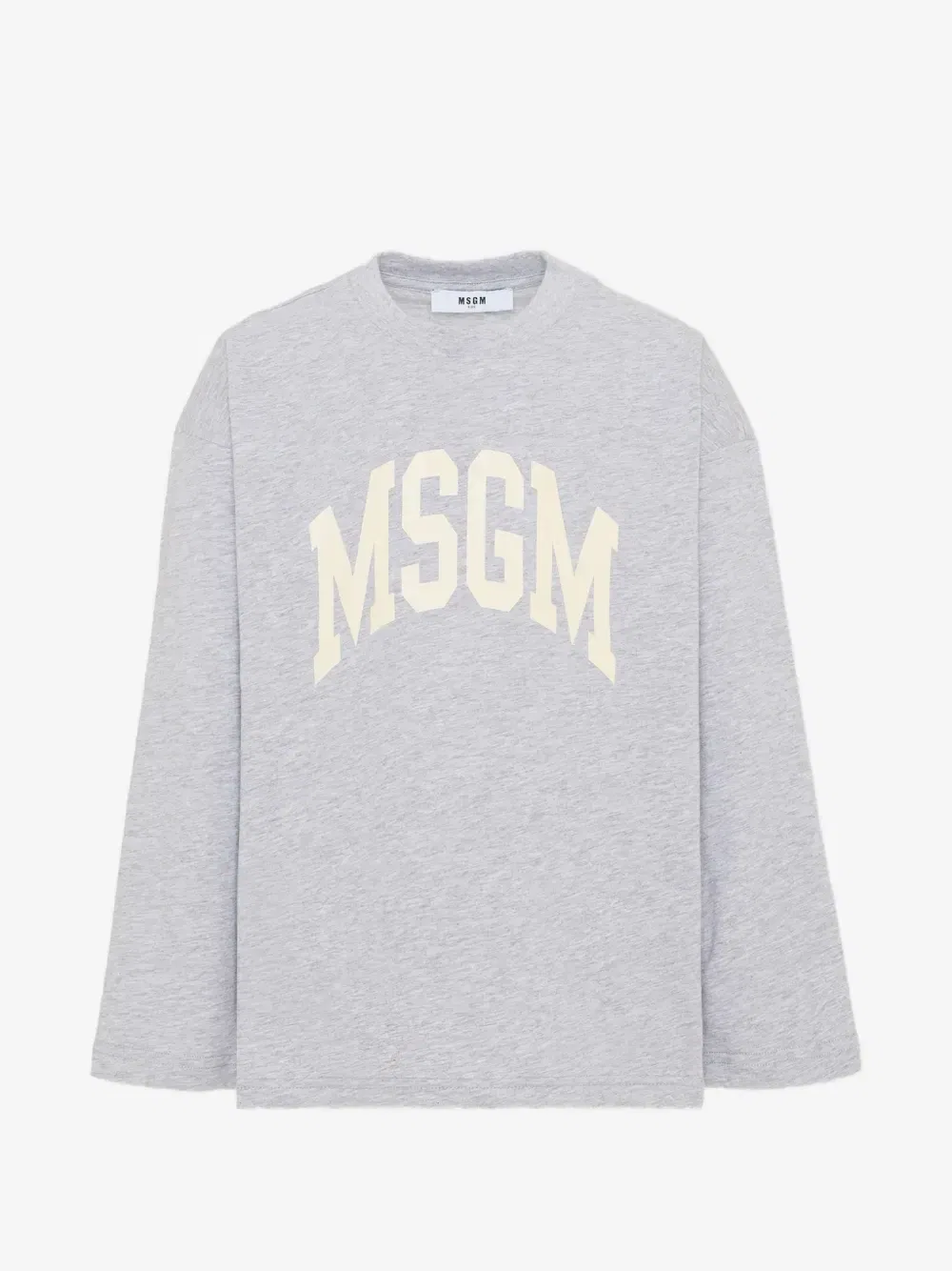 Футболка с длинным рукавом с принтом-логотипом Msgm Kids, серый
