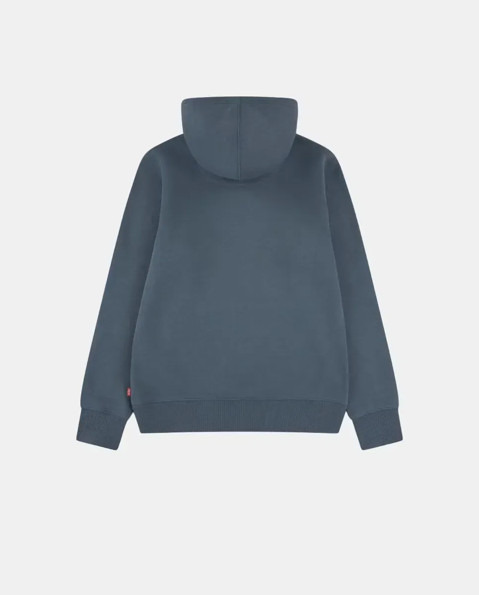 Детская худи для мальчиков с принтом Mini Batwing Levi's, Gris — фото 2