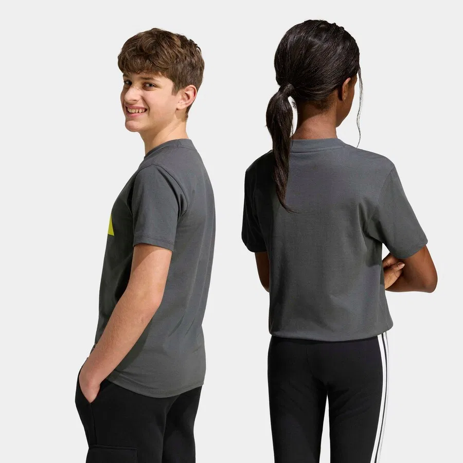 Спортивная футболка ADIDAS SPORTSWEAR Performance Shirt в цвете графитовый, светло-серый