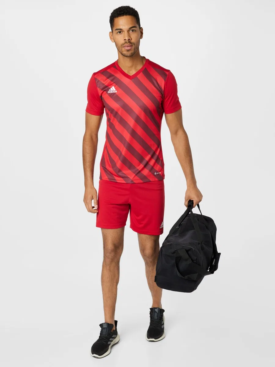 Спортивные шорты ADIDAS PERFORMANCE Regular Workout Pants 'Entrada 22' в ярко-красном цвете — фото 4