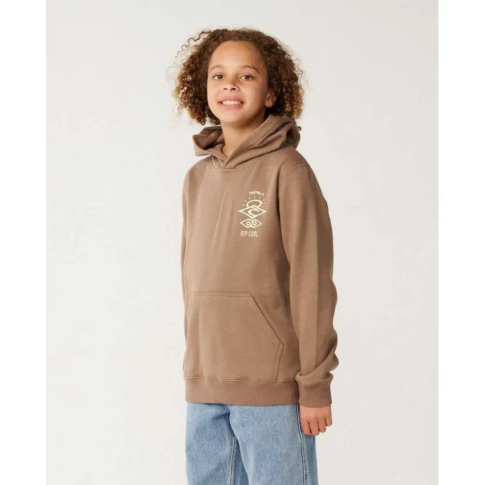 Детское худи для мальчиков с принтом Search Icon Rip curl, Brown — фото 3