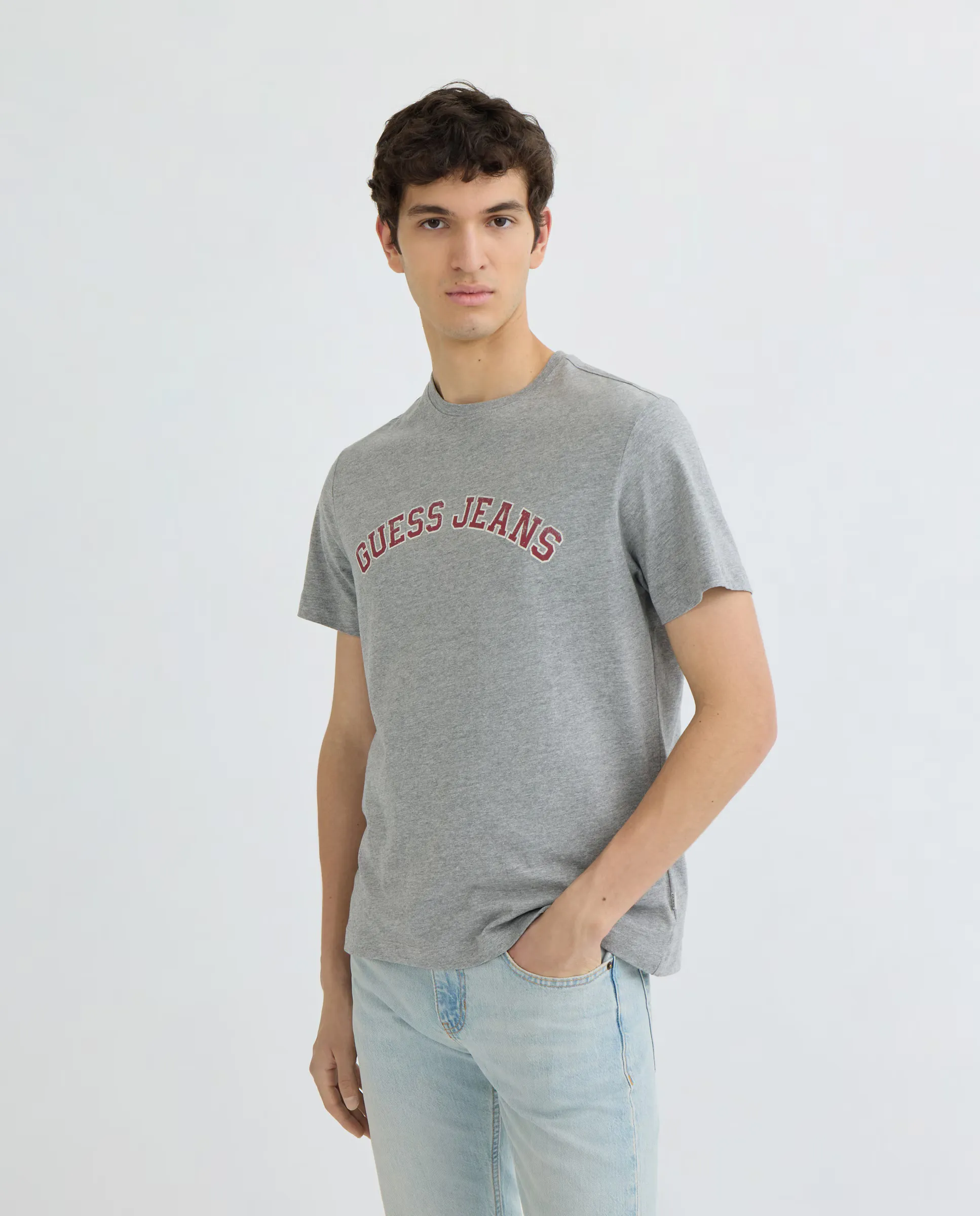 

Мужская футболка с коротким рукавом Guess Jeans, светло-серый