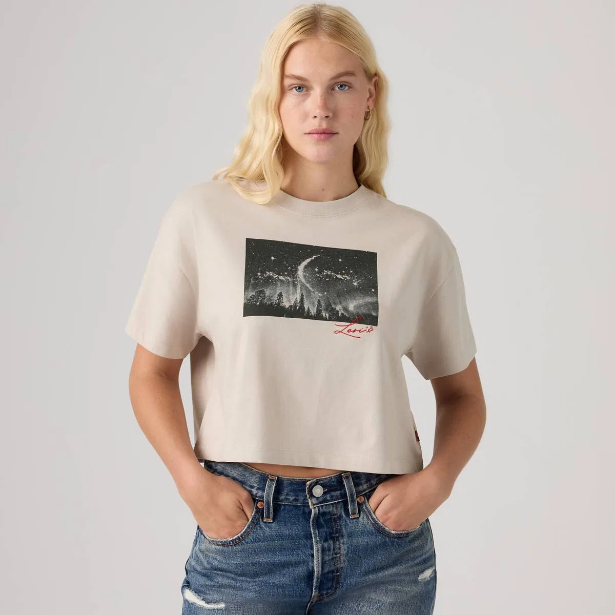 Укороченная футболка с графическим принтом на каждый день Levi's, Moonlight Chateau Gray - White