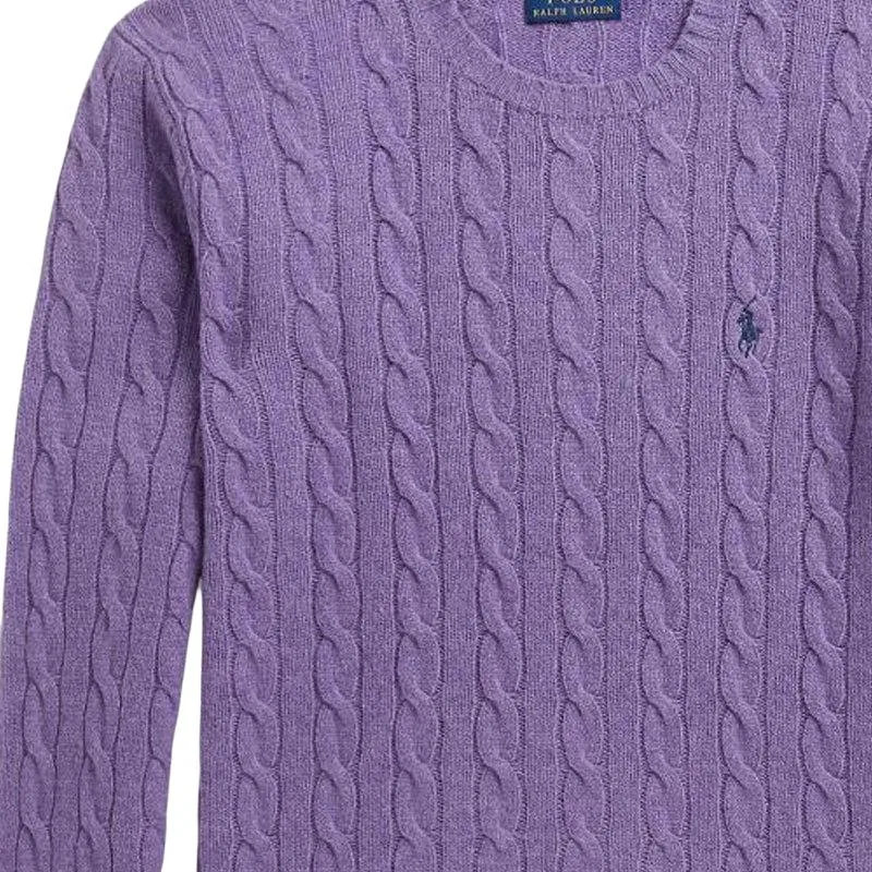 Мужской джемпер с круглым вырезом Other, Polo Ralph Lauren, Purple — фото 4