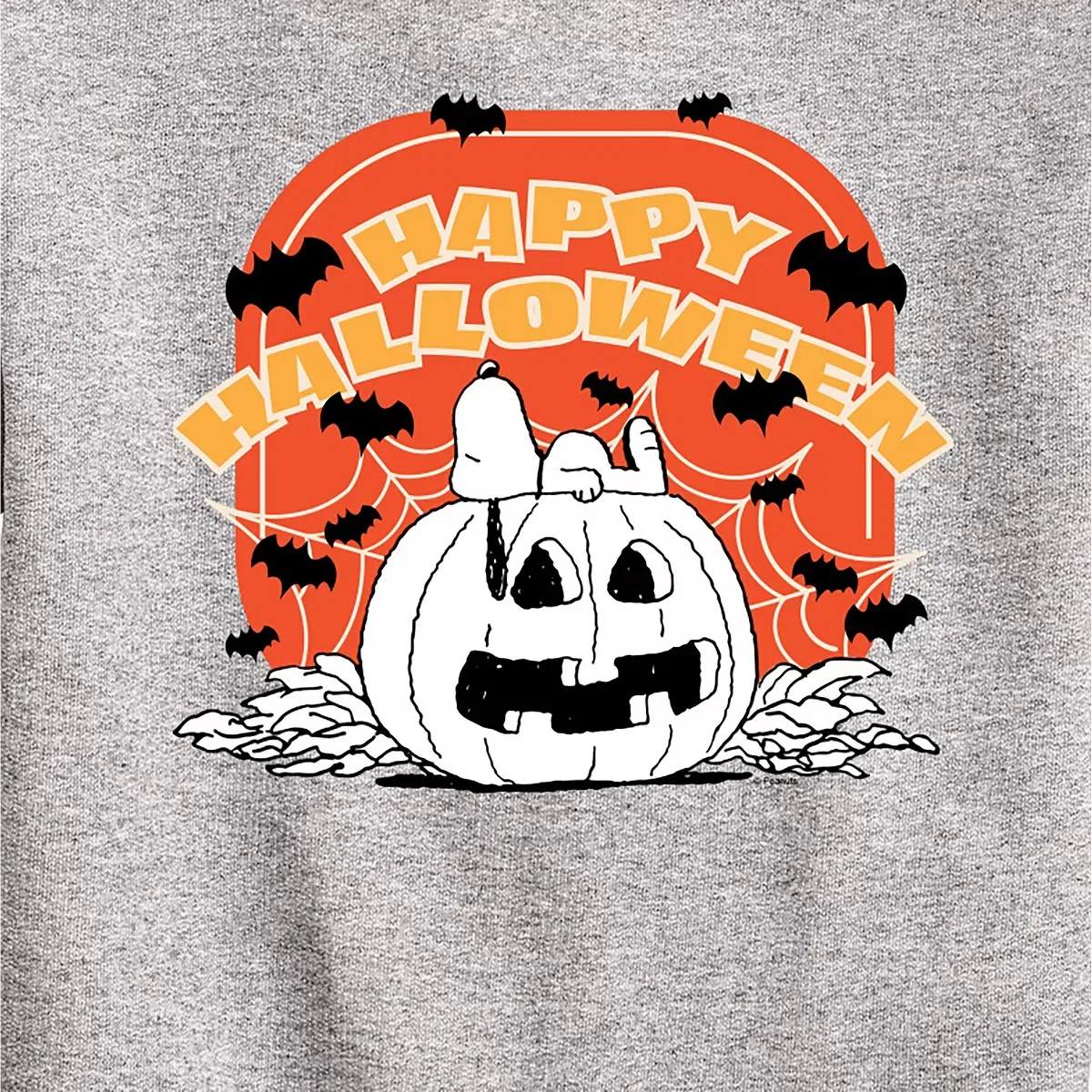 Детский свитшот с принтом Retro Halloween Peanuts, Athletic Heather — фото 2