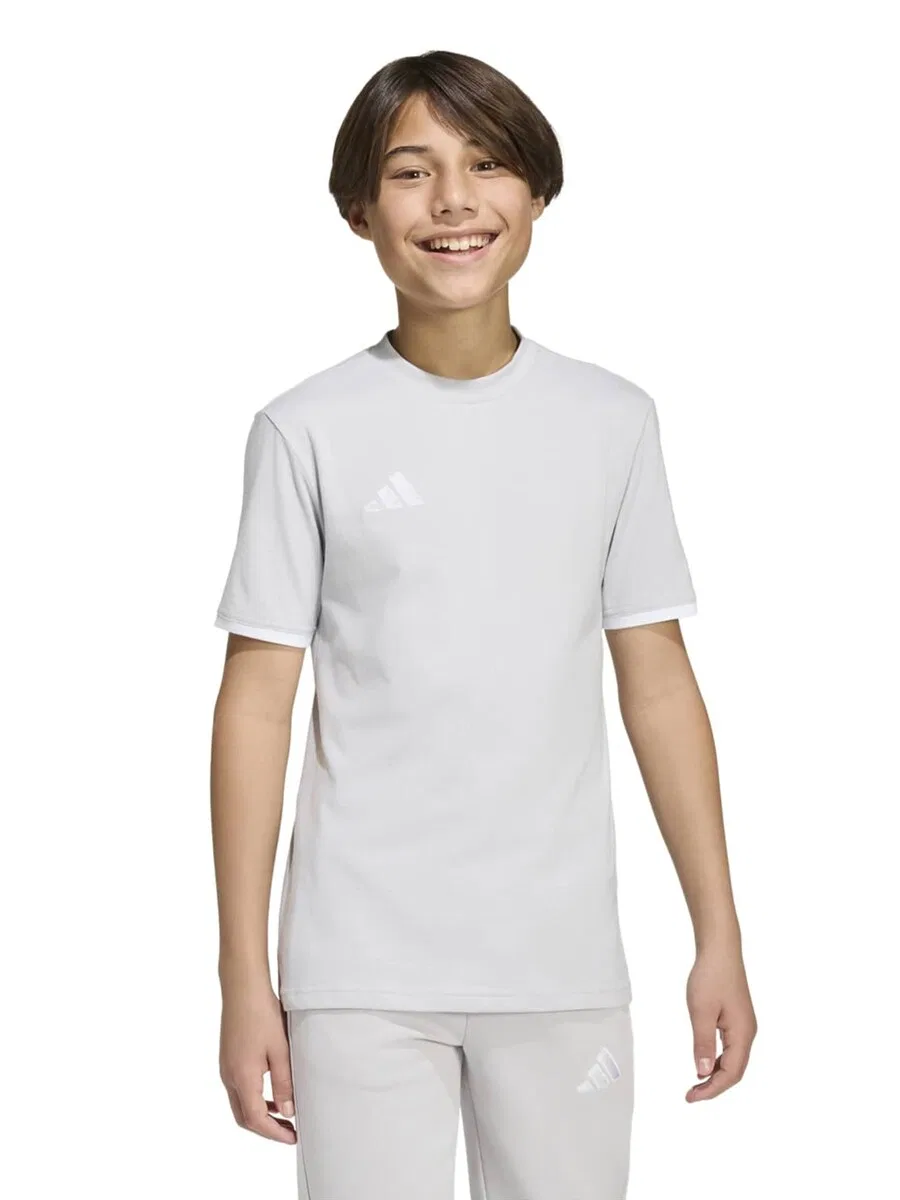 Спортивная футболка ADIDAS PERFORMANCE Performance Shirt 'Entrada26' светло-серого цвета — фото 2