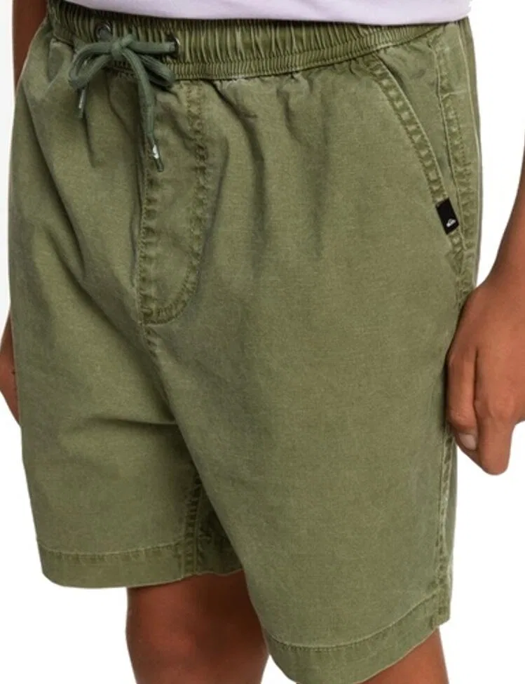 Детские шорты с эластичным поясом Taxer Quiksilver, Grun