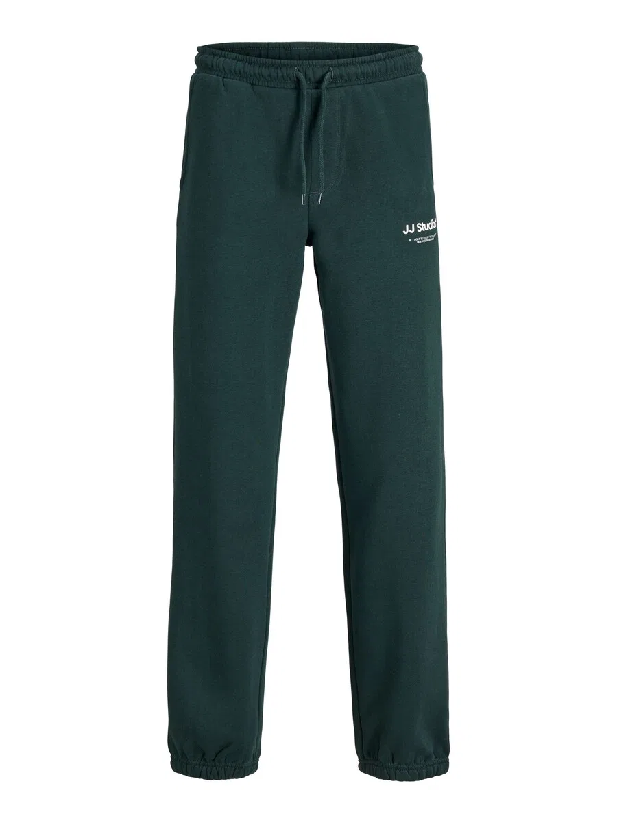 Детские зауженные брюки Jack & Jones Junior 'JPSTKane' цвета ели