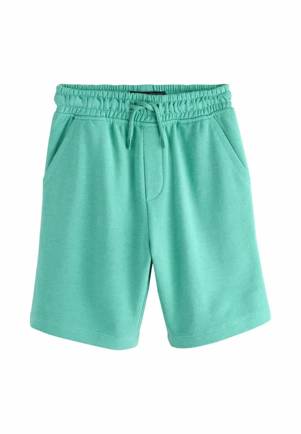 Комплект из 2 брюк спортивных, Regular Fit, Next, Mineral Green, синий/зеленый — фото 3