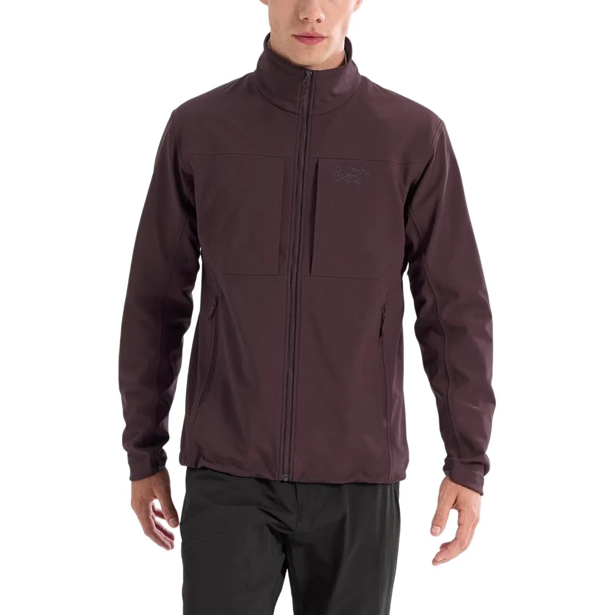 Мужская софтшелл-куртка с флисовой подкладкой Gamma MX Arcteryx, Deep Stratus Blue — фото 4