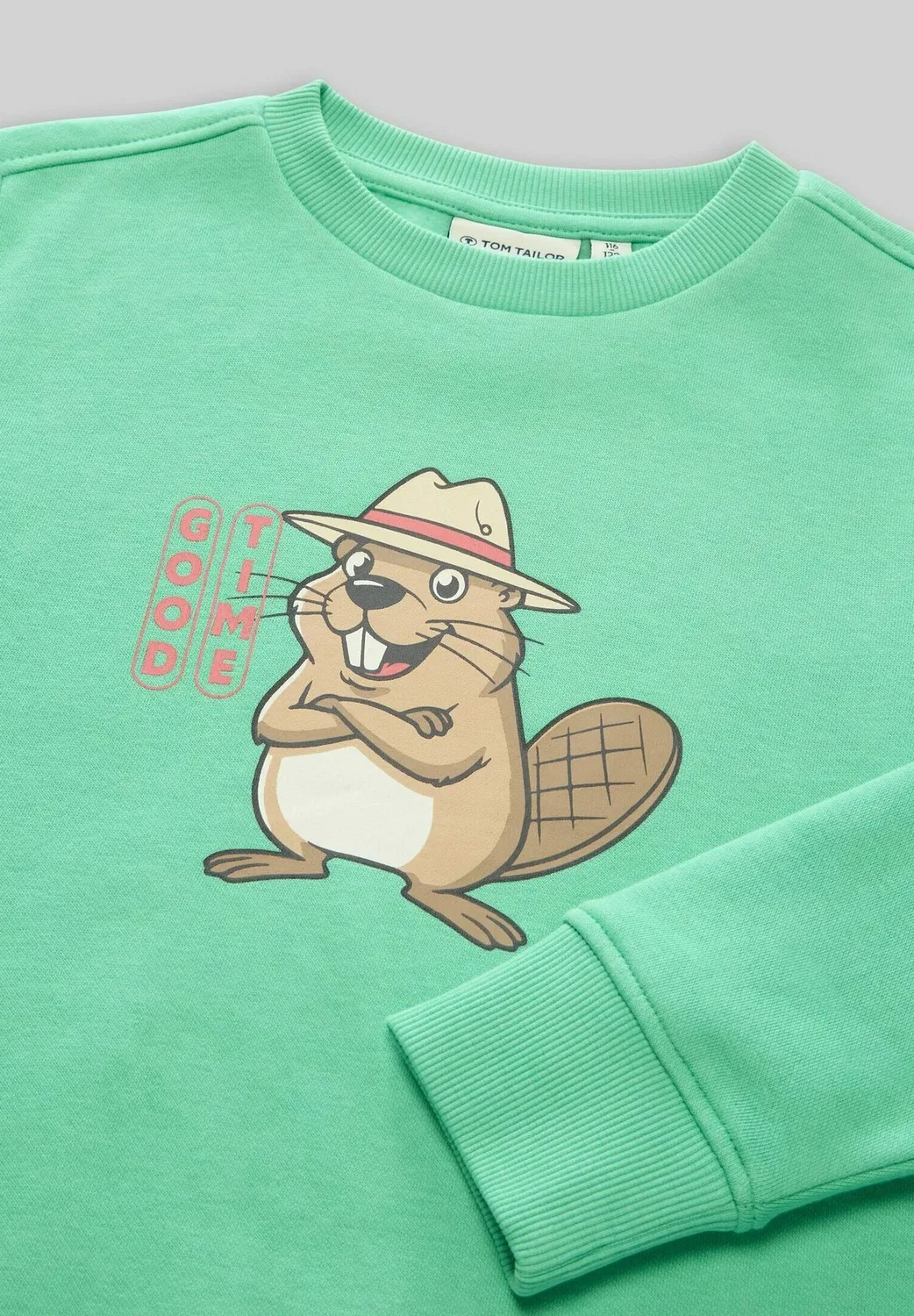 Толстовка Strick & sweatshirts с принтом - толстовка Tom Tailor, Leafy Green — фото 3