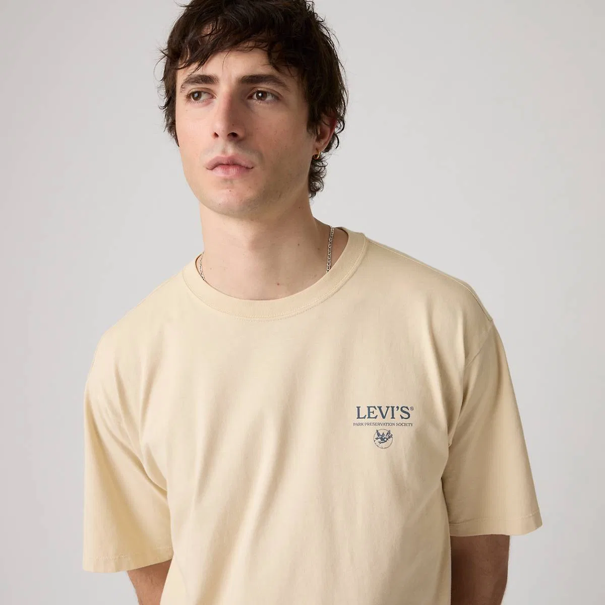Свободная футболка в винтажном стиле с графическим принтом Levi's, Levis Botanical 2 Castle Wall - Tan — фото 2