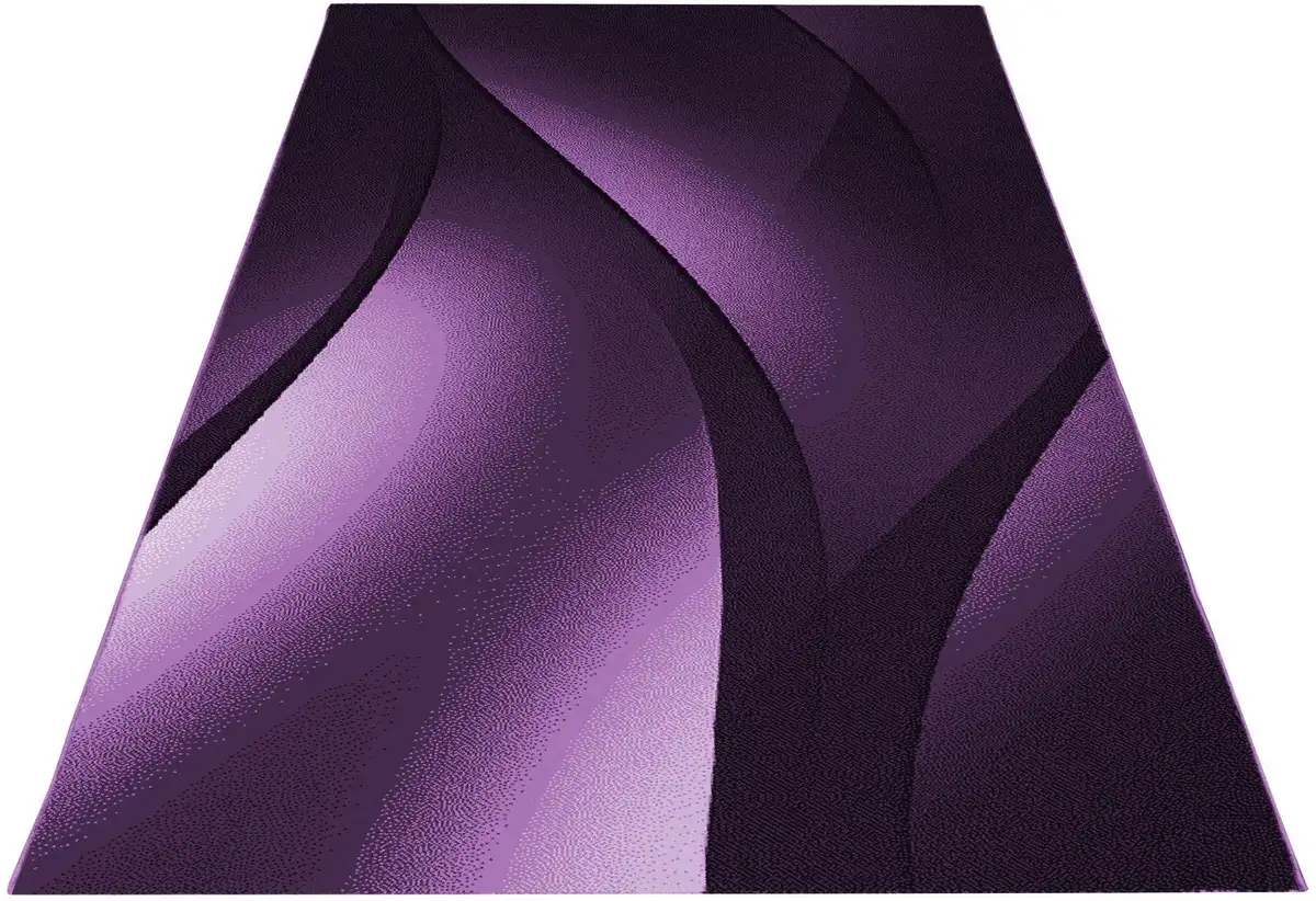 

Ayyildiz Carpets Ковер "PLUS 8010", прямоугольный Ayyildiz Teppiche 160х230 см, цвет lila