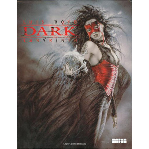 

Книга Dark Labyrinth (Hardback)