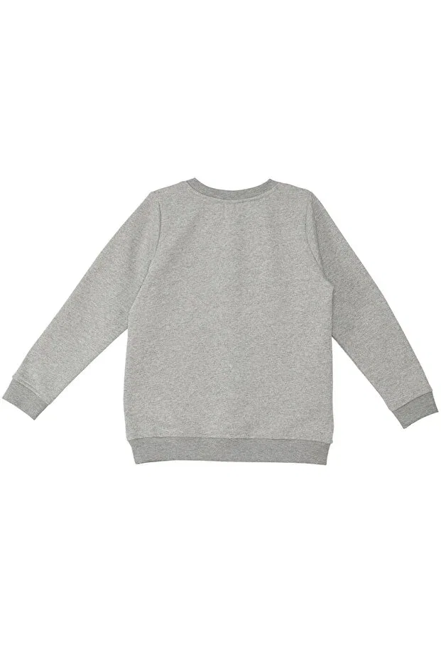Детские свитшот для мальчиков с длинным рукавом Denokids, Gray — фото 4