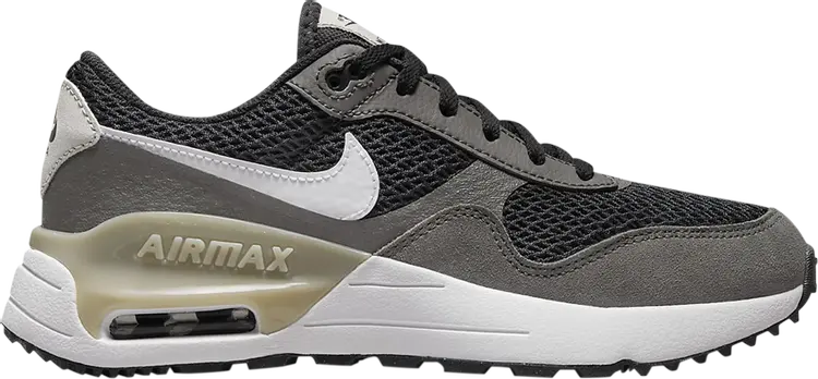 

Кроссовки Nike Air Max SYSTM GS 'Dark Smoke Grey Flat Pewter', серый