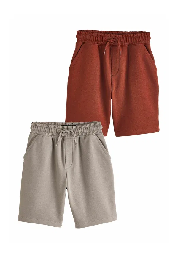 Комплект из 2 брюк спортивных, модель Tracksuit Bottoms, Next, rust brown stone, коричневый