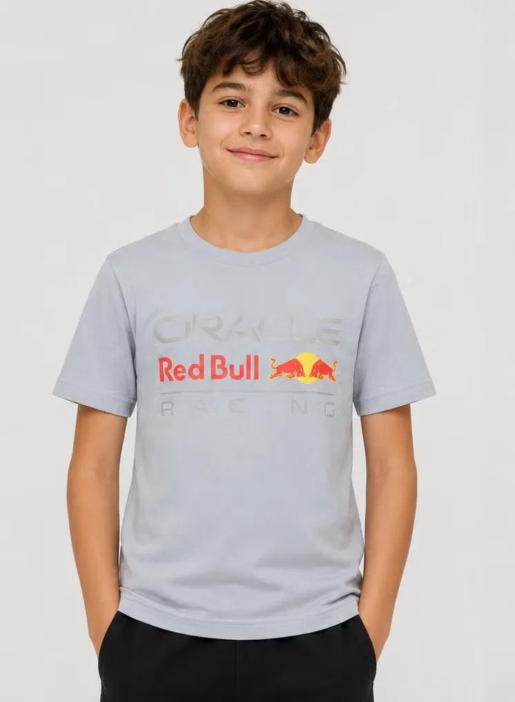 Футболка с крупным логотипом спереди Large Front Mono Logo Red Bull, флюгер — фото 2