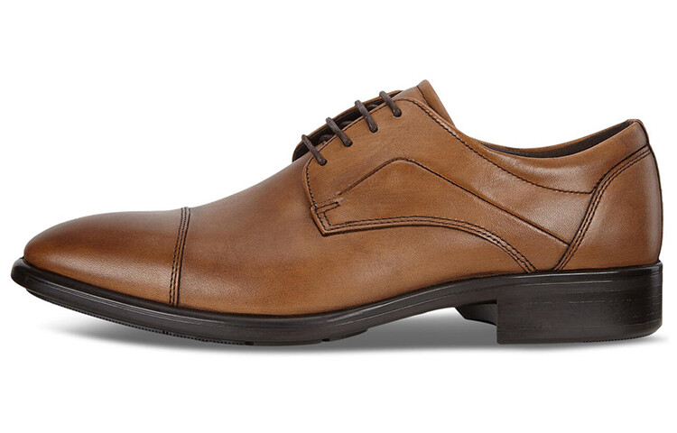 Citytray Men"s Casual Men Low-top Brown Ecco
