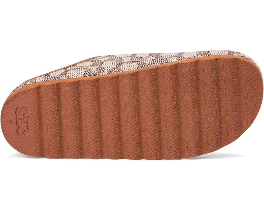 Шлепанцы COACH Hadley Slipper, цвет Cocoa/Burnished Amber — фото 3